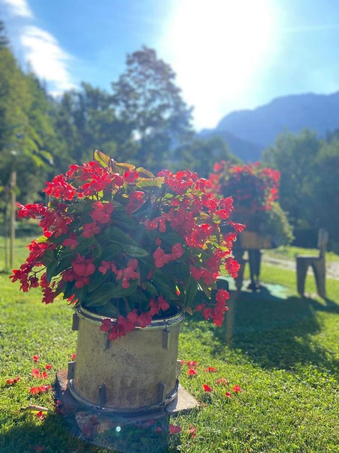 Villa Turisticna Kmetija Cercek Solčava Exterior foto