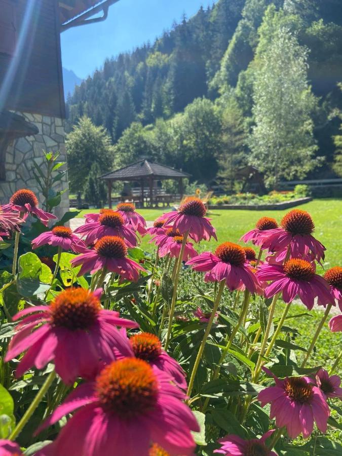 Villa Turisticna Kmetija Cercek Solčava Exterior foto