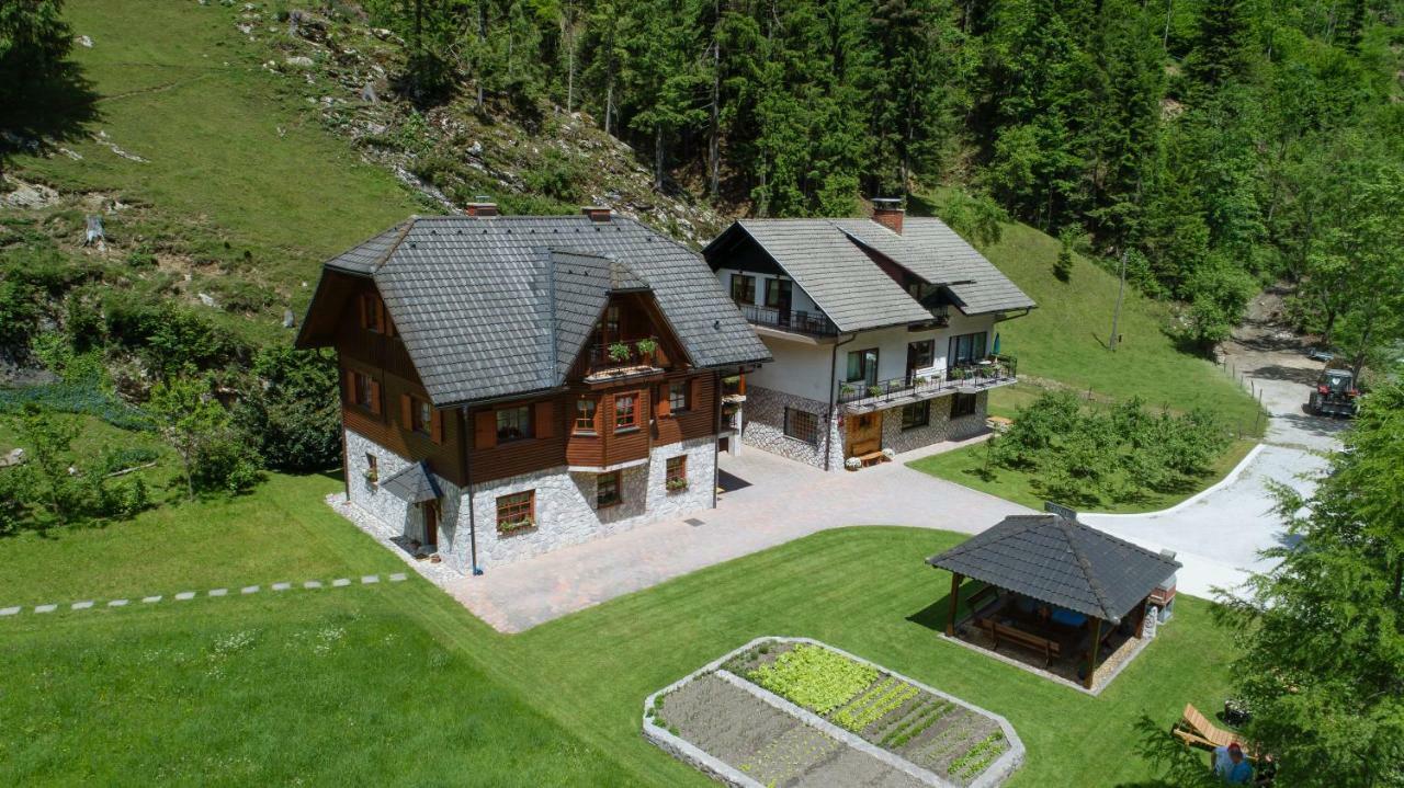 Villa Turisticna Kmetija Cercek Solčava Exterior foto