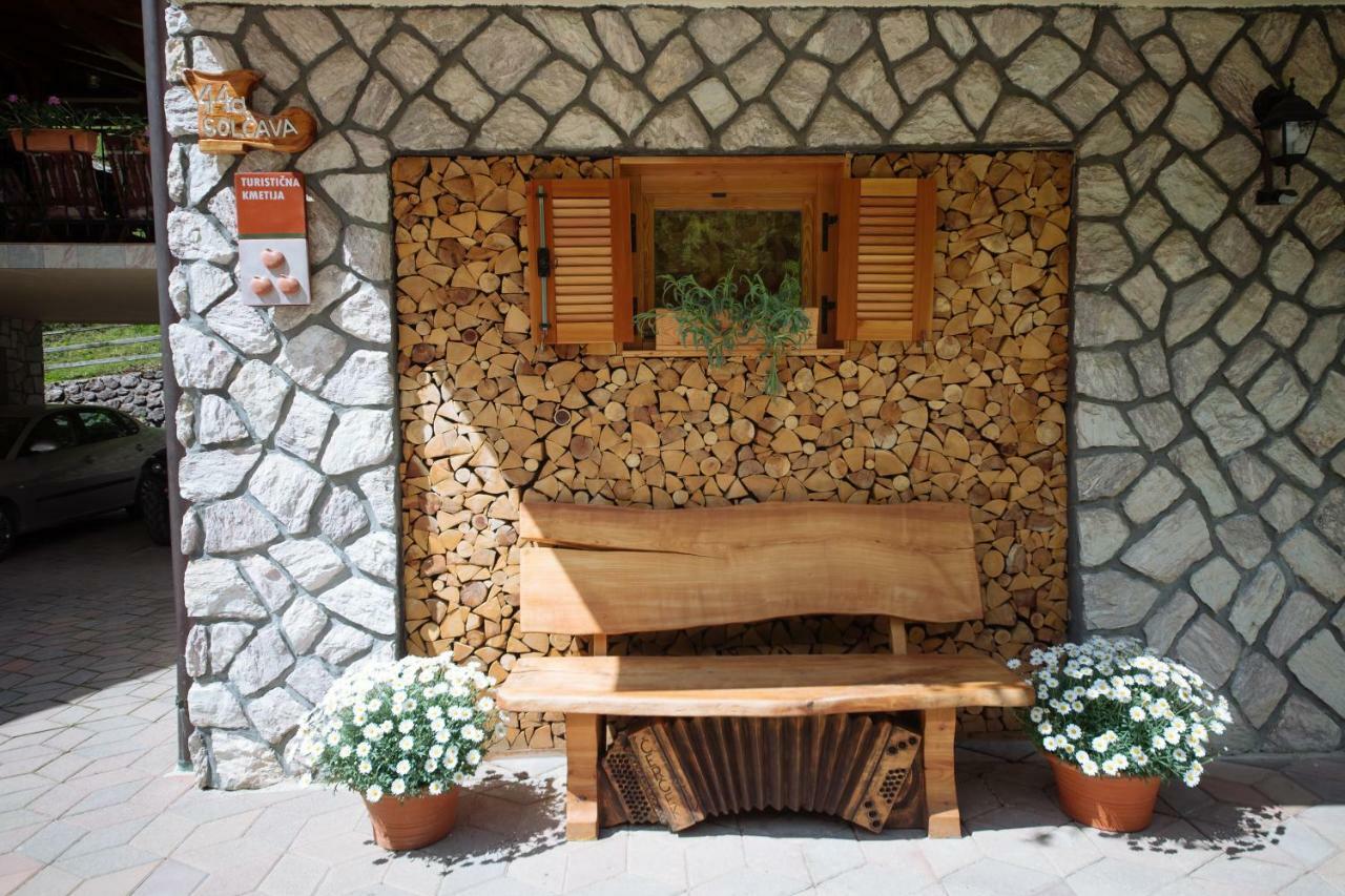 Villa Turisticna Kmetija Cercek Solčava Exterior foto