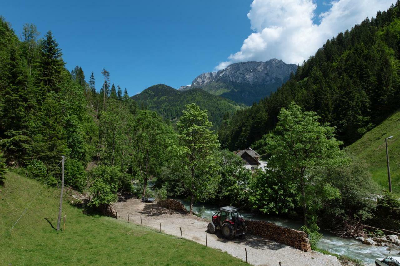 Villa Turisticna Kmetija Cercek Solčava Exterior foto
